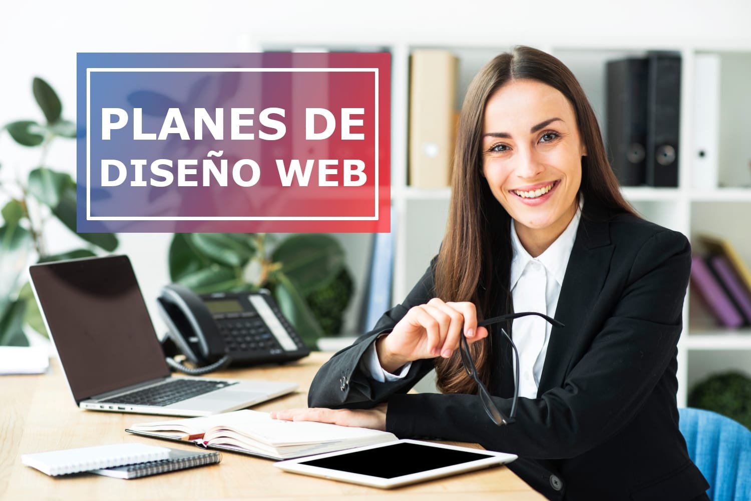 Planes de diseño web