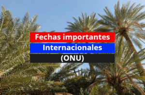 Fechas internacionales festivas